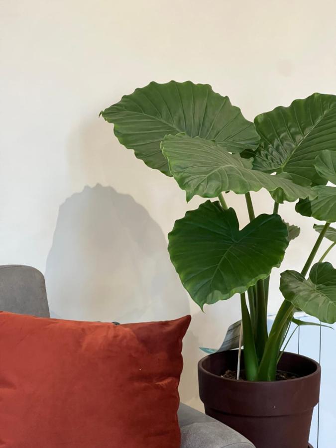 Myaka Appartement Wood Cholet Bagian luar foto